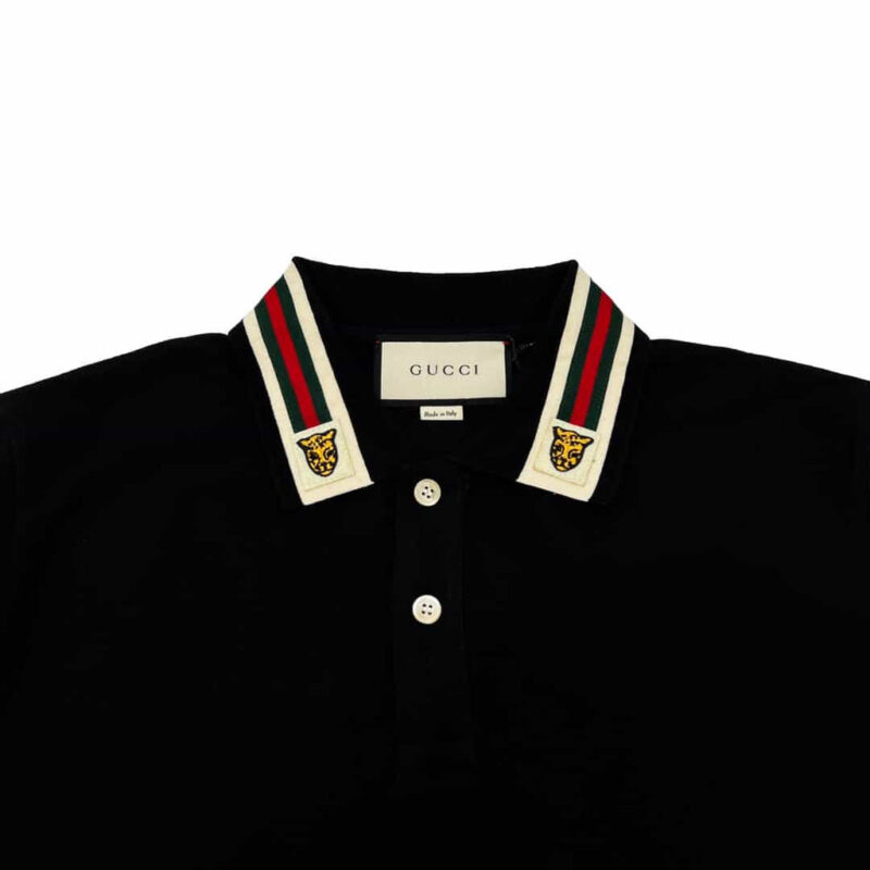 Polo - immagine 2