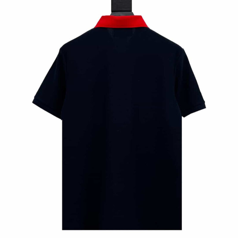 Polo - immagine 2
